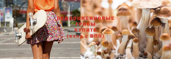 альфа пвп Белокуриха