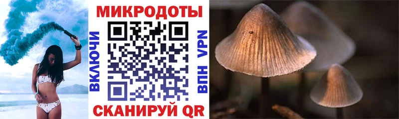 Галлюциногенные грибы мухоморы  где найти наркотики  darknet Telegram  Донской 